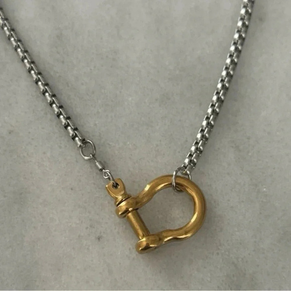 Modest Lu Jewelry - COPY - COPY - COPY - Gold Chain Two Tone Silver Horse Bit Chunky Charm Clasp Ca…